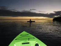 Waterfront House, 2 Bdr, 2 bath, Boat Lift, Trailer Parking,  and 2 Kayaks