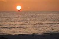 Beachfront Cottages (Patio) at Beautiful Sandy Shores on Gulf of Mexico