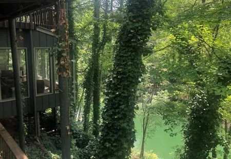 LakeFront Allatoona Great View&w/Dock,Sleeps10Adults/2 Kids,Deck-7mi @LakePoint!