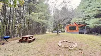 Remote Tiny Cabin/Mountain Hiking/National Forest!