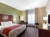 Comfort Inn & Suites Fayetteville-University Area Hotels in Washington County