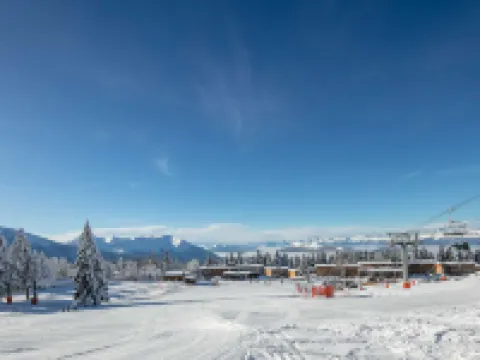 V du Bachat Asters E