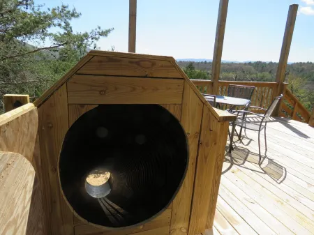 Modern Cabin at the End of the Road, SLIDE, SHUFFLEBOARD!
