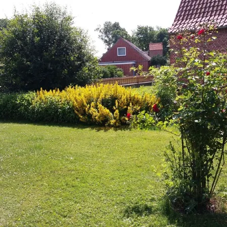 Apartment -Vogelflug- in the house at the pond pet friendly and cozy