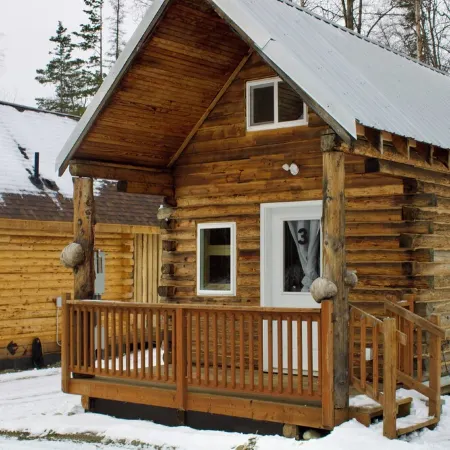 Petite Cabin With Ladder Loft
