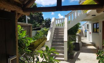 Island Cove