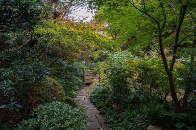 ホテル周辺 鶴巻温泉 元湯陣屋の写真