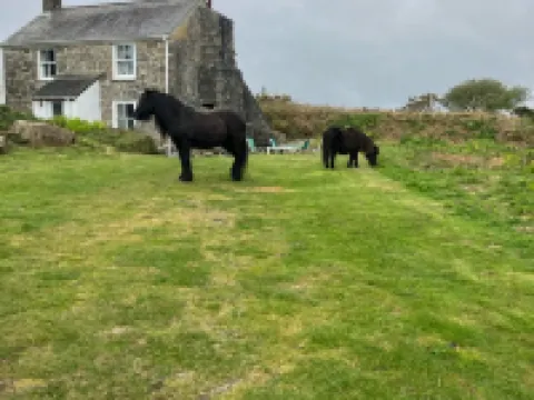 Kitts Cottage  in Redruth Hotels in Redruth