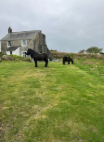 Kitts Cottage  in Redruth