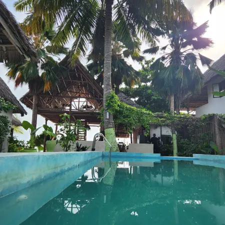 Two Palms