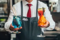 Hotel Panorama - bar