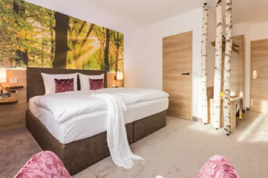 TRIHOTEL 羅斯託克 – 僅限成年人的健康酒店