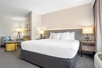 Comfort Inn & Suites Hotels in Saint Tammany Parish