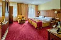 Hotel Römerhof Hotels in Gernsbach