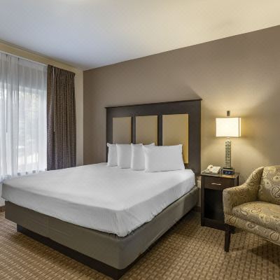 Executive Suite, 1 King Bed with Sofa Bed, Kitchen Stay-over Suites Promo Code