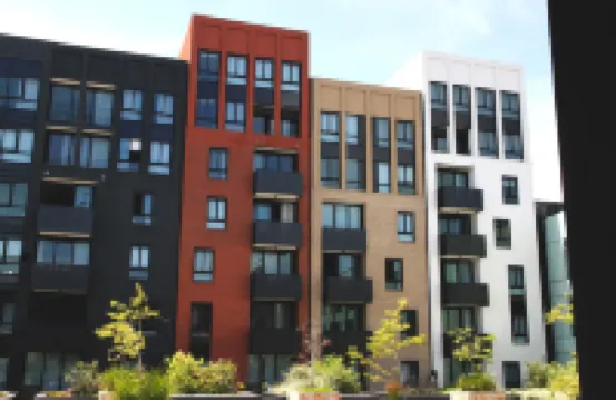 智慧城市留宿布里奇沃特