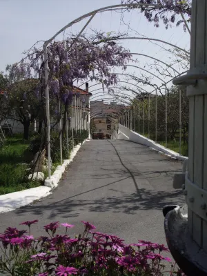 Residence Il Borgo Degli Ulivi Resort