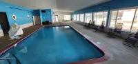 Comfort Inn & Suites - Pet Friendly