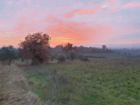 Allegra Viareggio SUITE with Jacuzzi