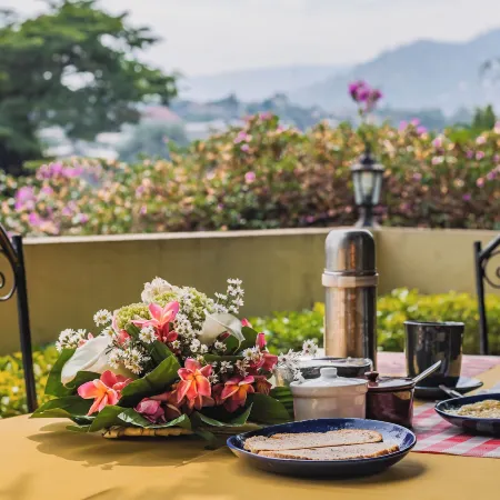 Aparthotel Jardin Tropical