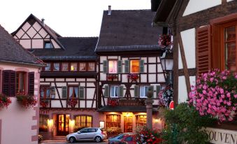 Hôtel A la Vignette - Colmar-Nord