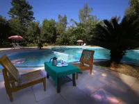 Mogli Jungle Resorts Bandhavgarh Hotels in Umaria