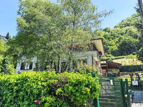 Nel Castagneto