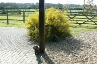 Beautiful holiday home on the outskirts of the New Forest.