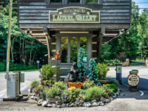 Laurel Valley Mountain Retreat Hoteles en Townsend