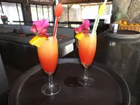 Villas Mon Plaisir - bar