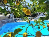 Lions Apartments - Ocean View