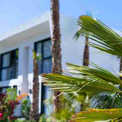 Alannia Salou Hotel Exterior