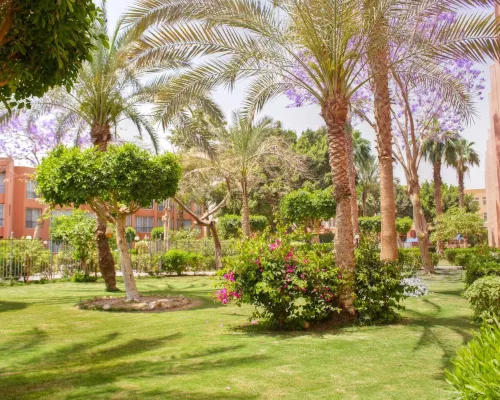 فندق ومنتجع بالميرا بيتش العين السخنة من الخارج Photos