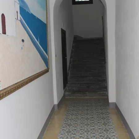 B&B Xenia