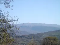 Le Cammarose Hotel a Felitto