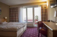 Alpine Classic Hotel Hotels in Leysin