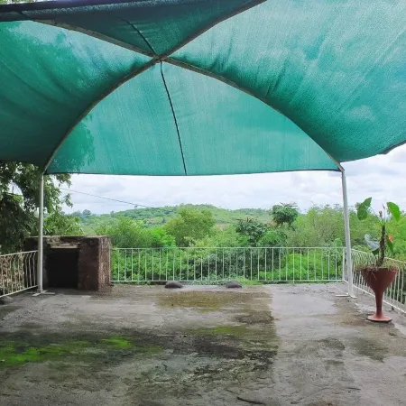 Impala Niezel Lodge & Guest House