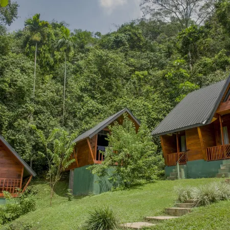 Sinharaja Forest Gate