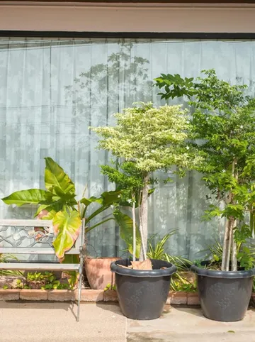 รูปภาพของโรงแรม เดอะสตาร์ อุดรธานี​ The Star Hotel