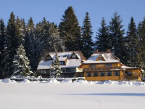 Hotel Restaurant Peterle Hotels in Feldberg