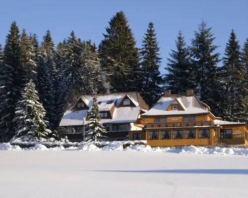 Hotel Restaurant Peterle Hotels in Feldberg