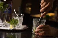 カラー ホテル スカーイェン - バー