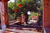 La Ginestra