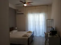 Gatto Bianco Picone 19