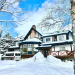 로지 클럽맨  호텔