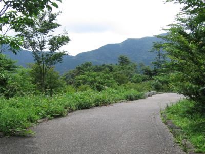 ホテル周辺 ホテル花月園の写真