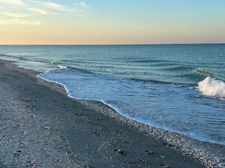 Laughing Gull at Shorebirds 3min walk to beach Sunsets! Kayaks Bikes and More! Отели в г. Манасота-Ки