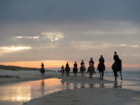 Bernsteinland Barth Hotels in Barth