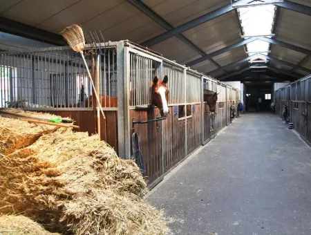 Country Inn Suitenhotel Отели рядом с достопримечательностью «Märkischer Golfclub Potsdam»