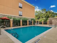Comfort Suites Old Town Spring Hotels in Spring